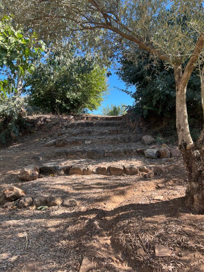 فيلا La Casita De Campo قرطبة المظهر الخارجي الصورة