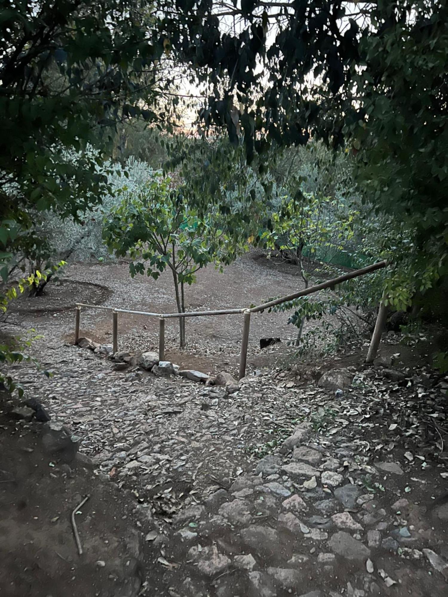 فيلا La Casita De Campo قرطبة المظهر الخارجي الصورة
